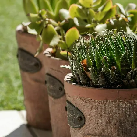 Πανσιόν Lanterna