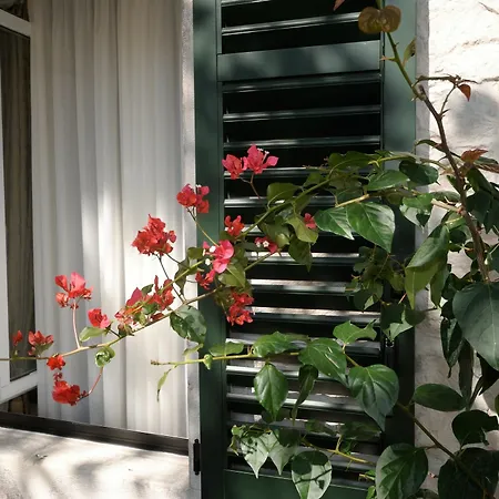 兰特纳客房旅馆 4*