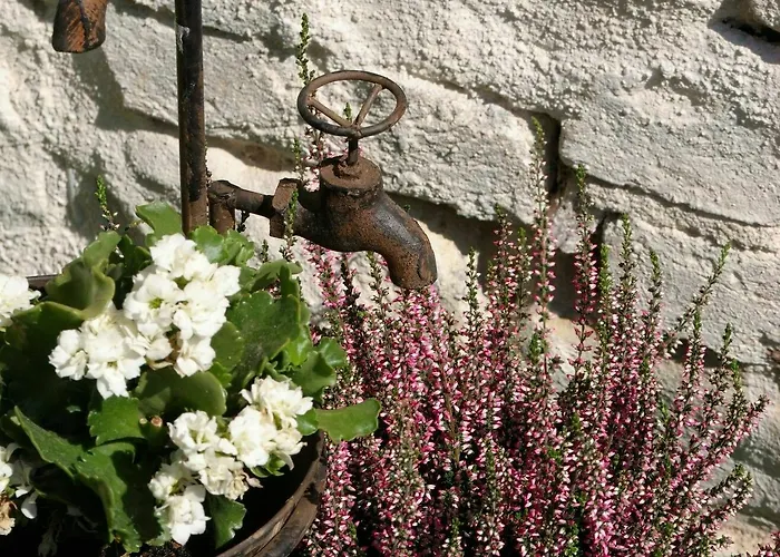 Lanterna スプリト